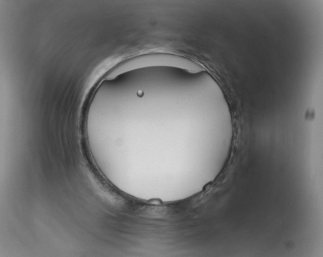 X0000112720104200909171113