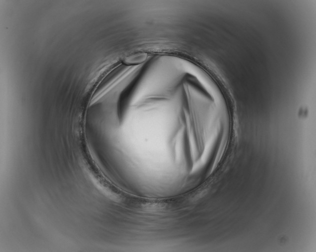 X0000112720105200909171113