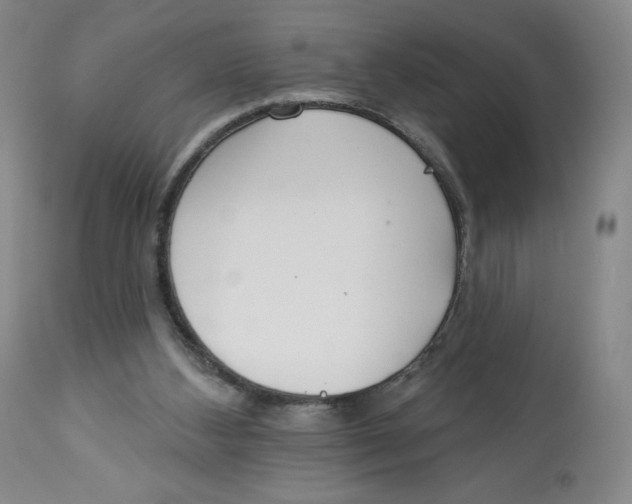 X0000112720108200909171113