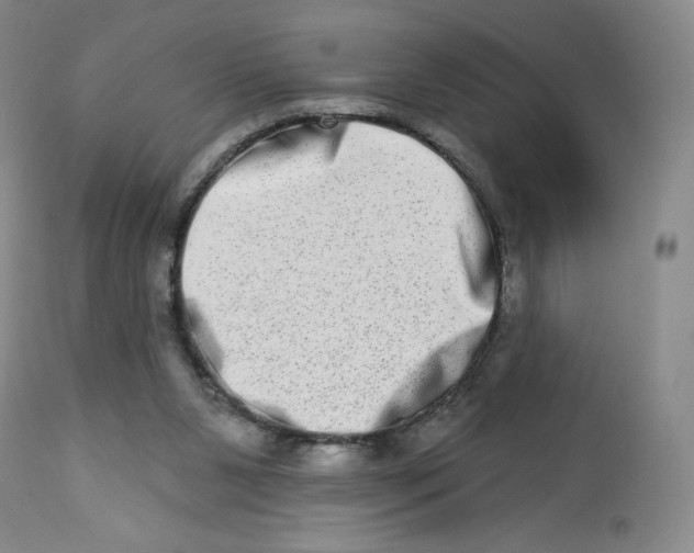 X0000112720111200909171113