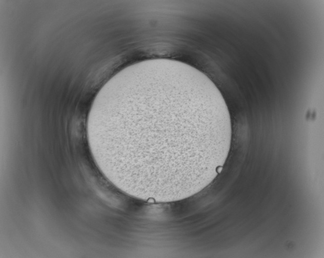 X0000112720126200909171113