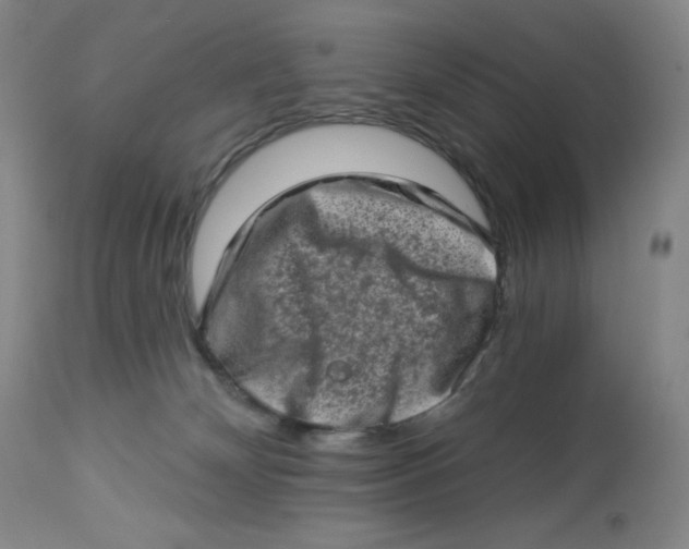 X0000112720132200909171113