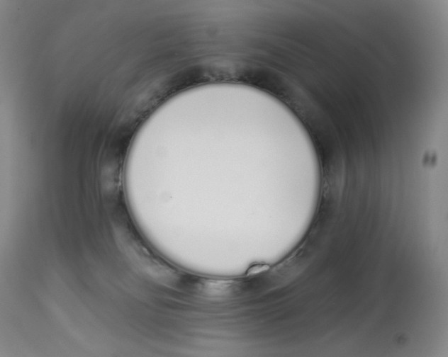 X0000112720134200909171113