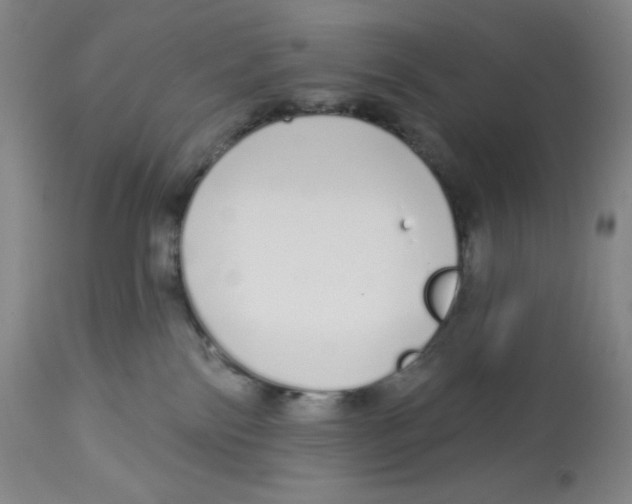 X0000112720138200909171113