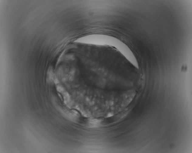 X0000112720143200909171113