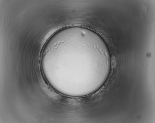 X0000112720147200909171112