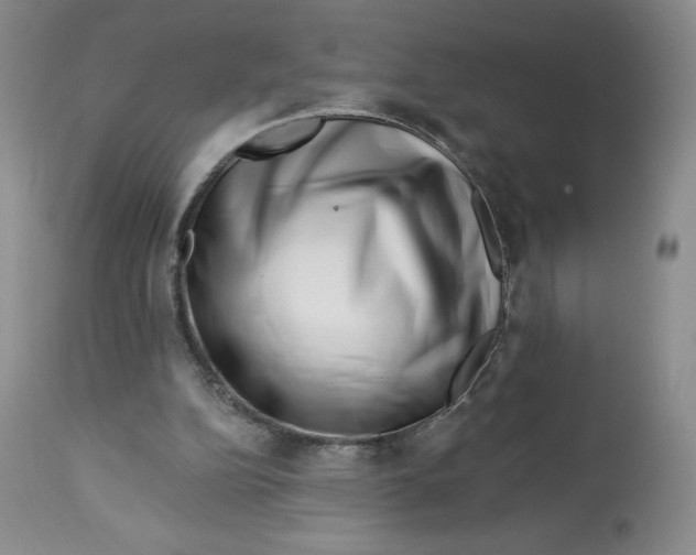 X0000112720152200909171112