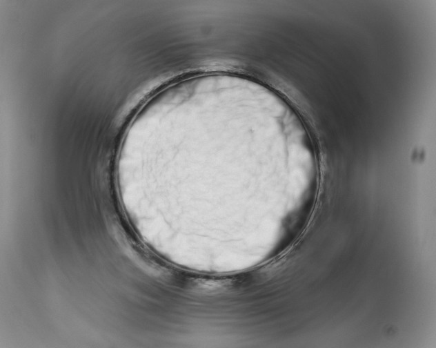 X0000112720155200909171112