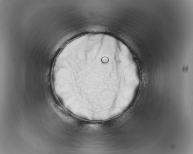 X0000112720159200909171112