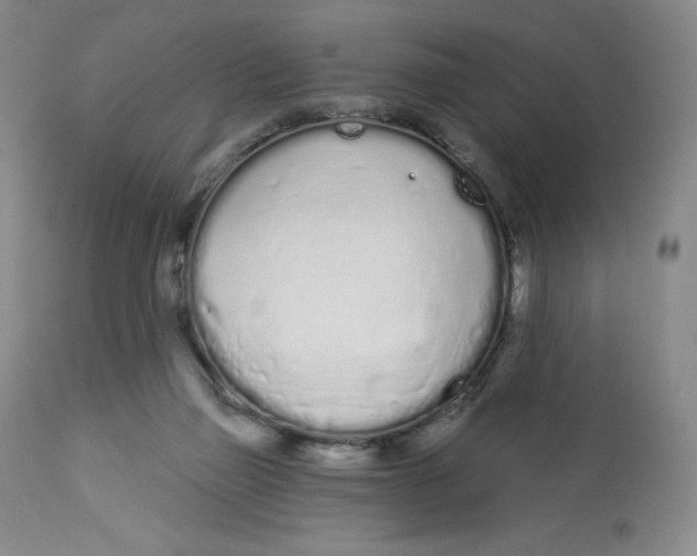 X0000112720165200909171112