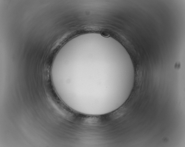 X0000112720168200909171112