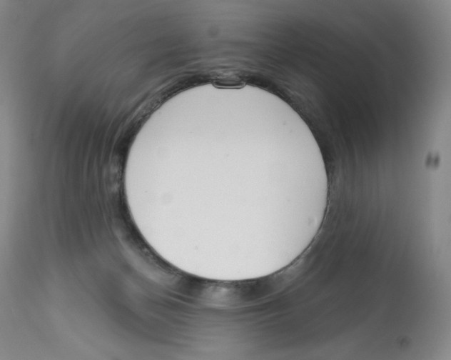 X0000112720174200909171112