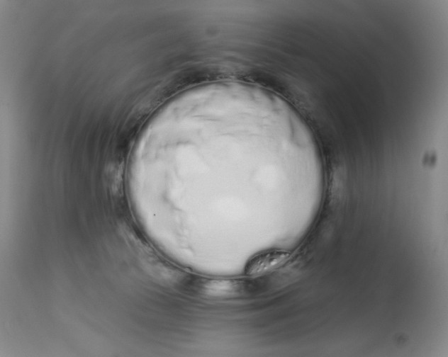 X0000112720177200909171112