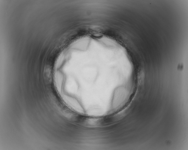 X0000112720178200909171112