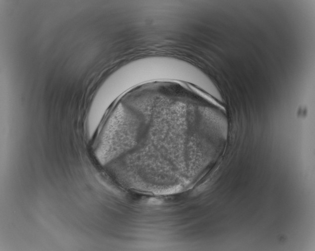 X0000112720180200909171112