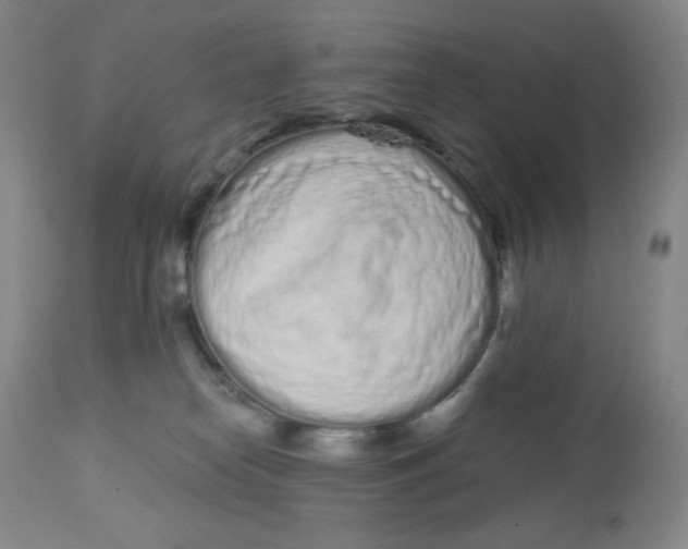 X0000112720182200909171112