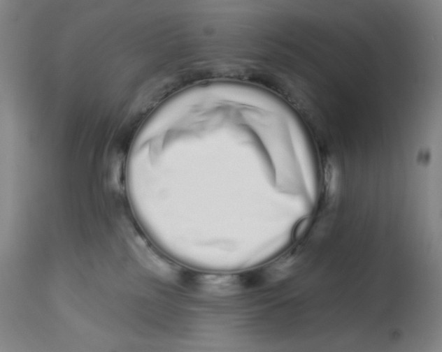 X0000112720185200909171112