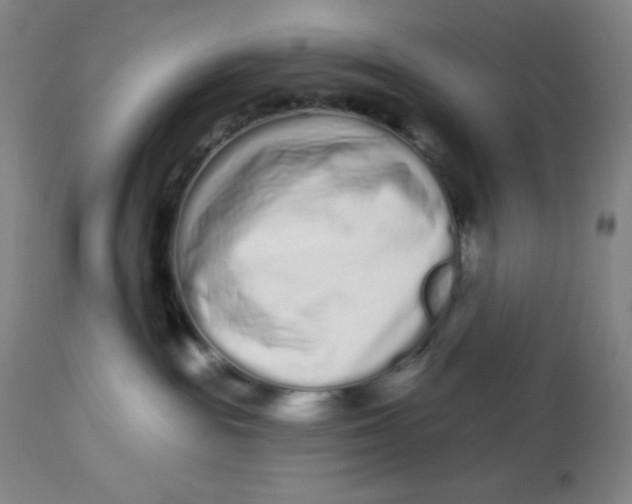 X0000112720189200909171113