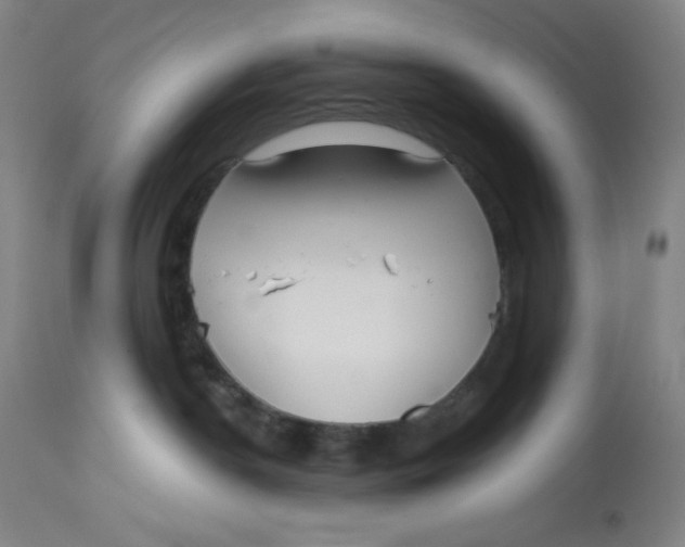 X0000112720190200909171113