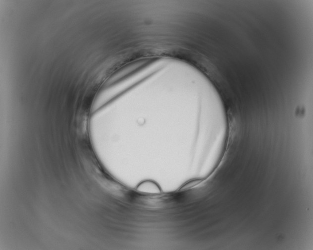 X0000112720191200909171113