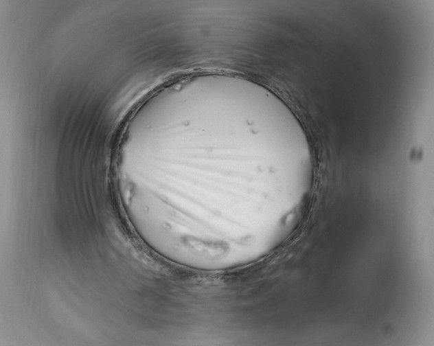 X0000112720194200909171112