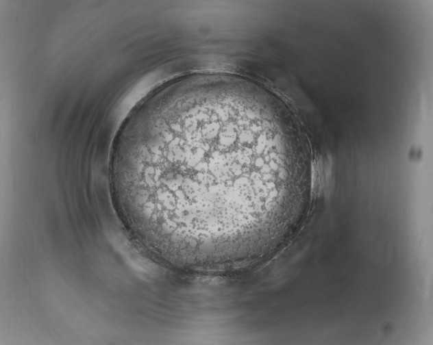 X0000112720195200909171112