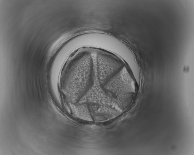 X0000112720197200909171112