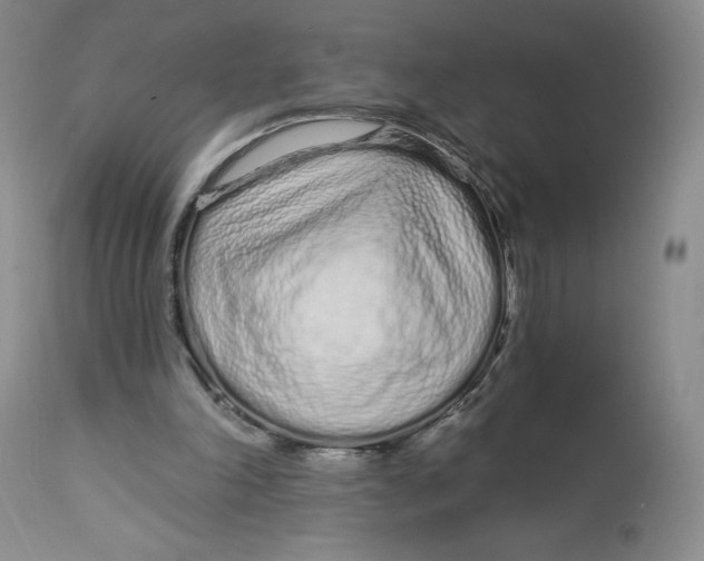 X0000112720198200909171112