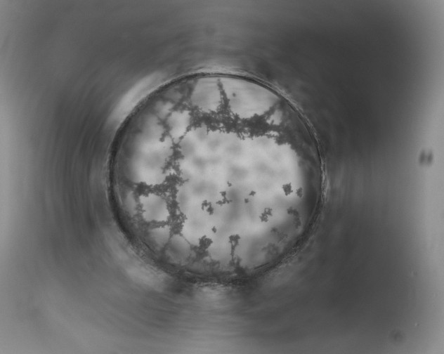 X0000112720199200909171112