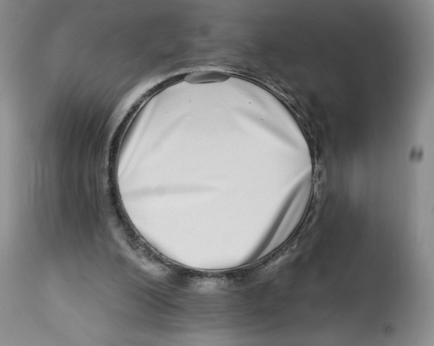 X0000112720200200909171112