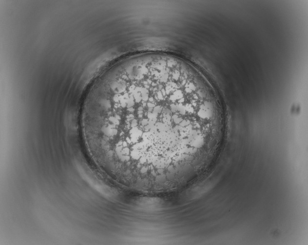 X0000112720203200909171112