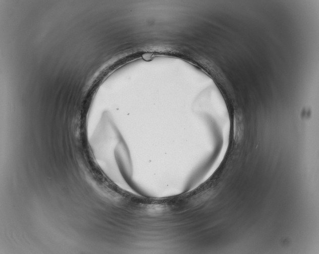 X0000112720204200909171112