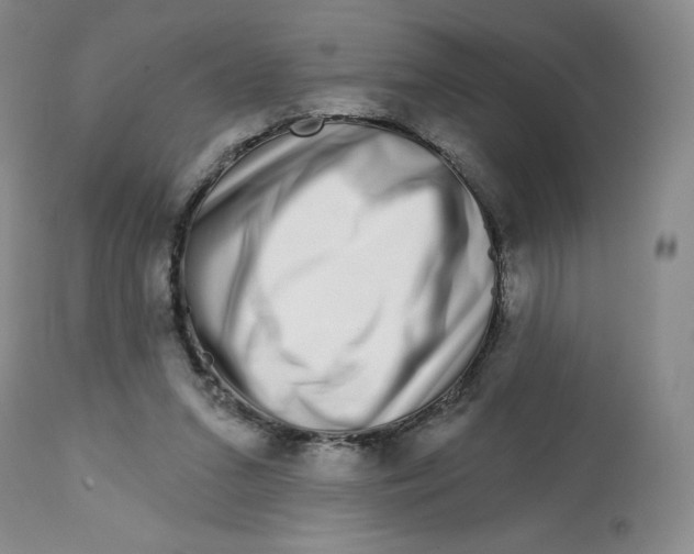 X0000112720207200909171112