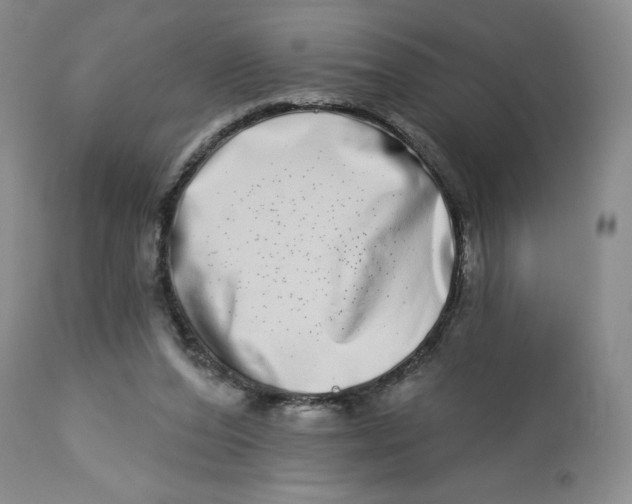 X0000112720208200909171112