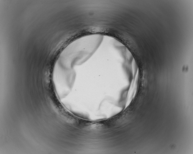 X0000112720210200909171112