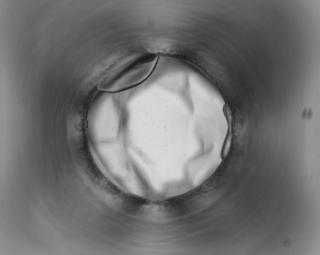 X0000112720211200909171112