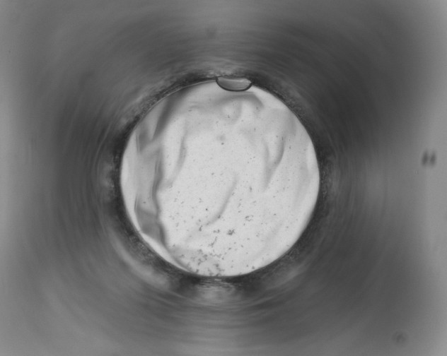 X0000112720215200909171112