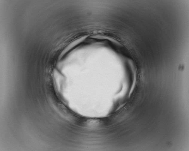 X0000112720218200909171112