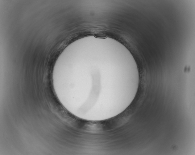 X0000112720221200909171112