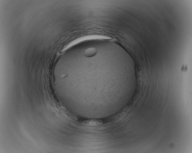 X0000112720223200909171111