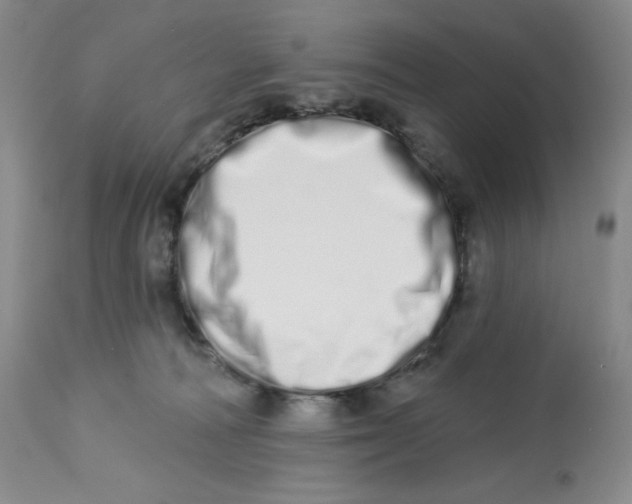 X0000112720226200909171111