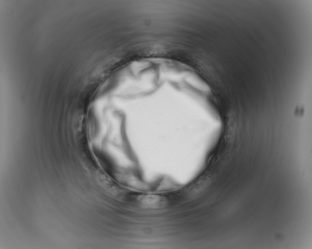 X0000112720230200909171111