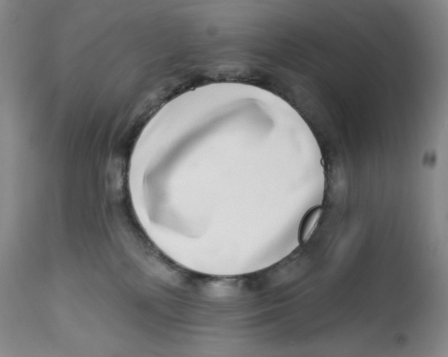 X0000112720232200909171111