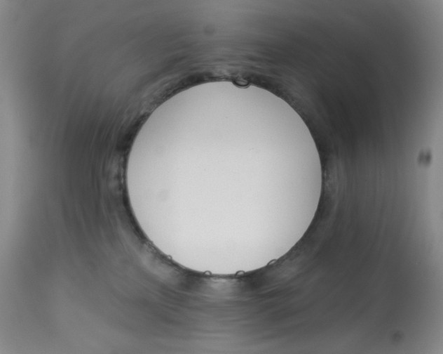 X0000112720233200909171111