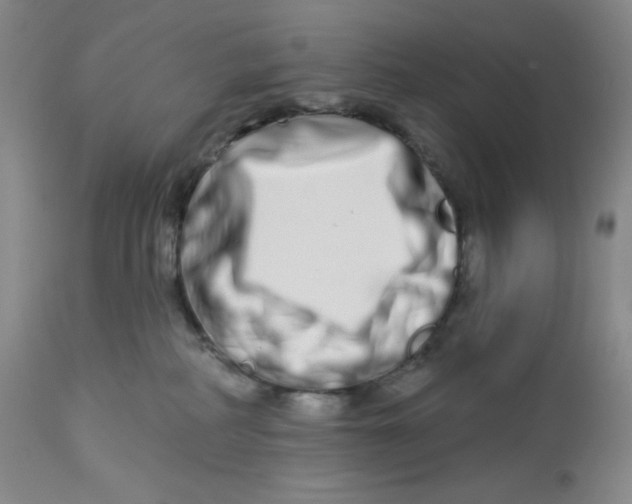 X0000112720234200909171111