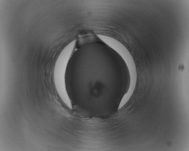 X0000112720235200909171111