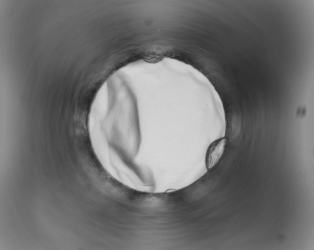 X0000112720236200909171111