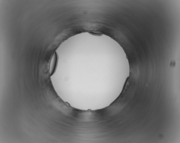 X0000112720237200909171111