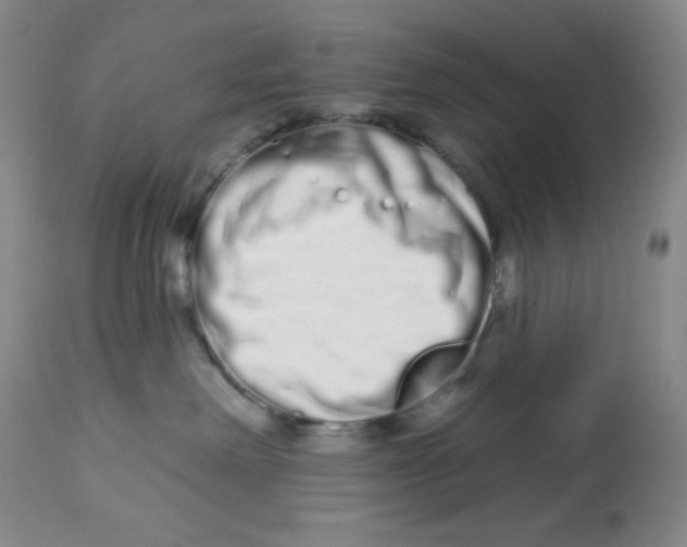 X0000112720238200909171111