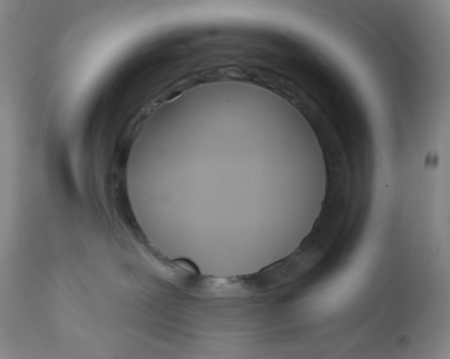 X0000112720239200909171111